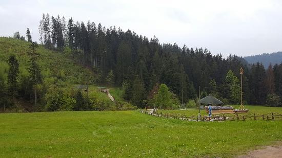 Trójstyk Granic